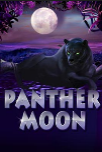 Panther Moon